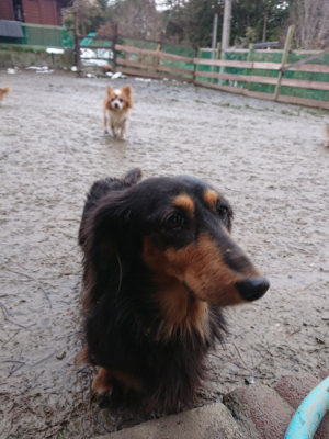 f:id:roukenhome-ann:20190129053208j:plain f:id:roukenhome-ann:20190129053208j:plain
