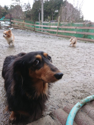 f:id:roukenhome-ann:20190129053213j:plain f:id:roukenhome-ann:20190129053213j:plain