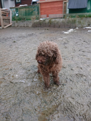 f:id:roukenhome-ann:20190129053219j:plain f:id:roukenhome-ann:20190129053219j:plain