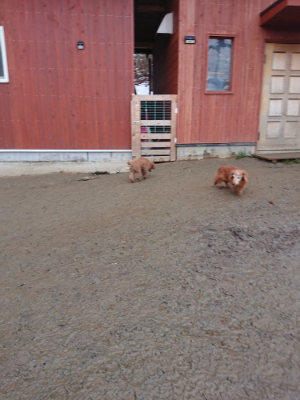 f:id:roukenhome-ann:20190129053223j:plain f:id:roukenhome-ann:20190129053223j:plain