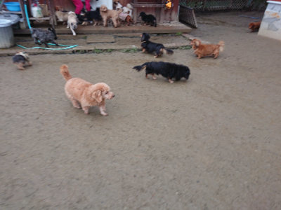 f:id:roukenhome-ann:20190129053250j:plain f:id:roukenhome-ann:20190129053250j:plain