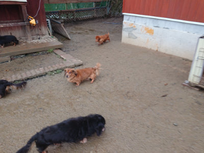 f:id:roukenhome-ann:20190129053308j:plain f:id:roukenhome-ann:20190129053308j:plain