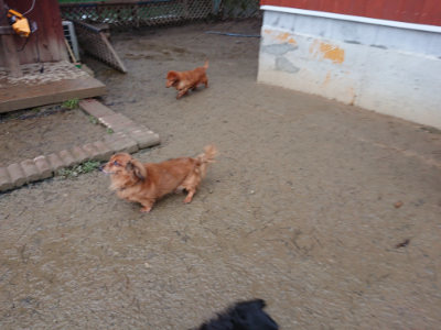 f:id:roukenhome-ann:20190129053313j:plain f:id:roukenhome-ann:20190129053313j:plain