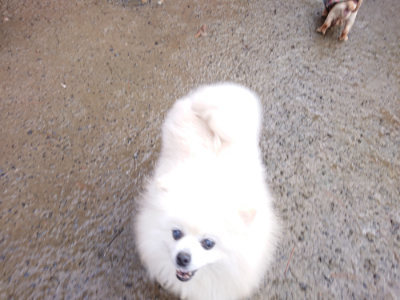 f:id:roukenhome-ann:20190129053459j:plain f:id:roukenhome-ann:20190129053459j:plain