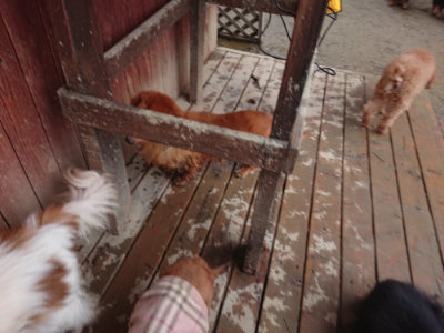 f:id:roukenhome-ann:20190129074042j:plain f:id:roukenhome-ann:20190129074042j:plain