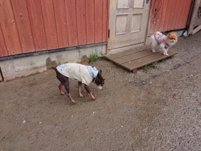 f:id:roukenhome-ann:20190129074058j:plain f:id:roukenhome-ann:20190129074058j:plain