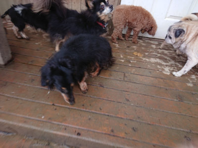 f:id:roukenhome-ann:20190129074108j:plain f:id:roukenhome-ann:20190129074108j:plain