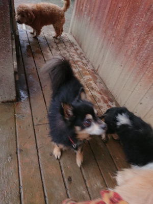f:id:roukenhome-ann:20190129074204j:plain f:id:roukenhome-ann:20190129074204j:plain