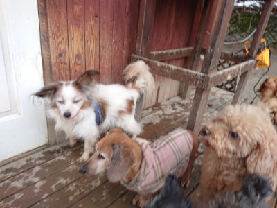 f:id:roukenhome-ann:20190129074224j:plain f:id:roukenhome-ann:20190129074224j:plain