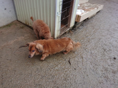 f:id:roukenhome-ann:20190129074349j:plain f:id:roukenhome-ann:20190129074349j:plain