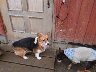 f:id:roukenhome-ann:20190129074426j:plain f:id:roukenhome-ann:20190129074426j:plain