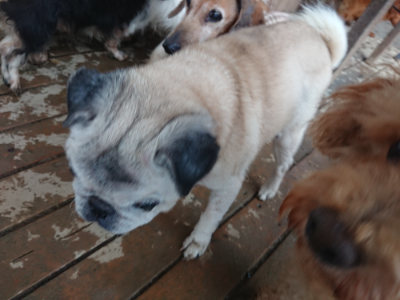 f:id:roukenhome-ann:20190129074431j:plain f:id:roukenhome-ann:20190129074431j:plain
