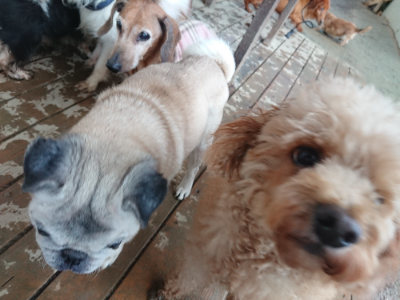 f:id:roukenhome-ann:20190129074437j:plain f:id:roukenhome-ann:20190129074437j:plain