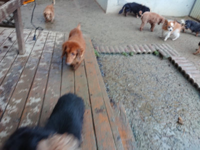 f:id:roukenhome-ann:20190129074647j:plain f:id:roukenhome-ann:20190129074647j:plain