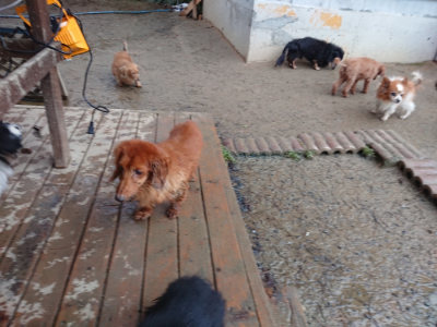 f:id:roukenhome-ann:20190129074708j:plain f:id:roukenhome-ann:20190129074708j:plain
