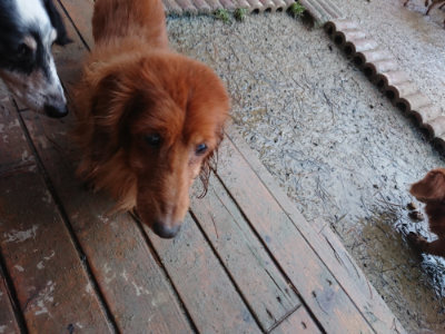 f:id:roukenhome-ann:20190129074713j:plain f:id:roukenhome-ann:20190129074713j:plain