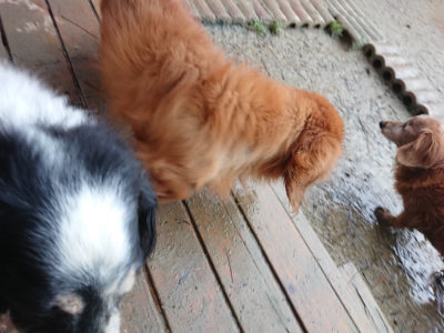 f:id:roukenhome-ann:20190129074718j:plain f:id:roukenhome-ann:20190129074718j:plain