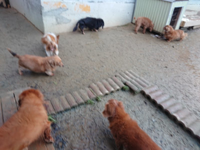 f:id:roukenhome-ann:20190129074748j:plain f:id:roukenhome-ann:20190129074748j:plain