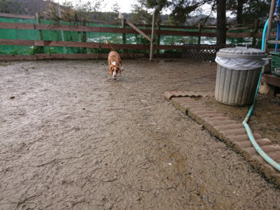 f:id:roukenhome-ann:20190129074849j:plain f:id:roukenhome-ann:20190129074849j:plain