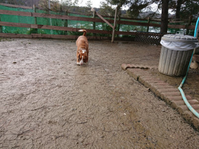 f:id:roukenhome-ann:20190129074912j:plain f:id:roukenhome-ann:20190129074912j:plain