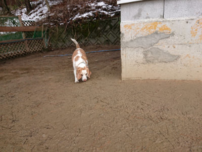 f:id:roukenhome-ann:20190129074951j:plain f:id:roukenhome-ann:20190129074951j:plain