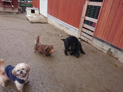 f:id:roukenhome-ann:20190129074956j:plain f:id:roukenhome-ann:20190129074956j:plain