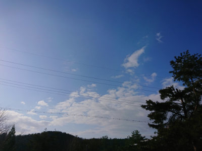 f:id:roukenhome-ann:20190129075926j:plain f:id:roukenhome-ann:20190129075926j:plain