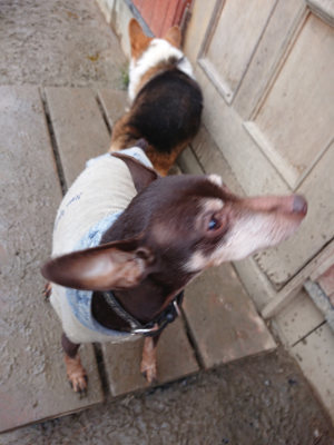 f:id:roukenhome-ann:20190129075947j:plain f:id:roukenhome-ann:20190129075947j:plain