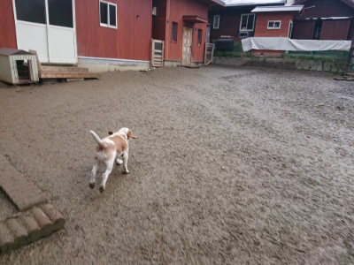 f:id:roukenhome-ann:20190129131755j:plain