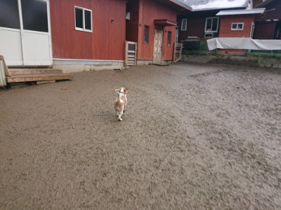 f:id:roukenhome-ann:20190129131813j:plain