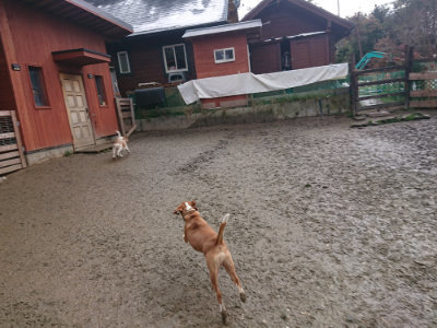 f:id:roukenhome-ann:20190129131821j:plain
