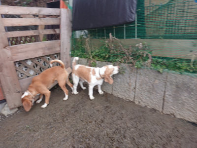 f:id:roukenhome-ann:20190129131827j:plain