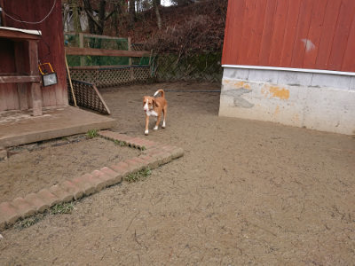 f:id:roukenhome-ann:20190129131922j:plain