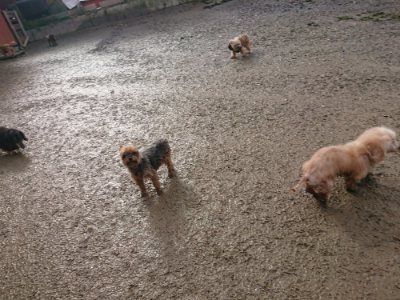 f:id:roukenhome-ann:20190129132340j:plain