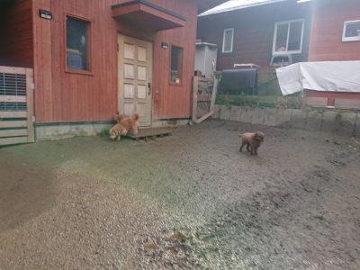 f:id:roukenhome-ann:20190129133127j:plain