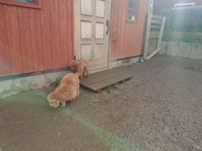 f:id:roukenhome-ann:20190129133209j:plain