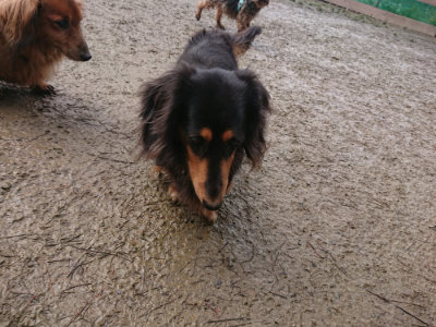 f:id:roukenhome-ann:20190129133226j:plain