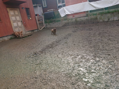f:id:roukenhome-ann:20190129133309j:plain