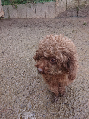 f:id:roukenhome-ann:20190129133334j:plain