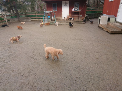 f:id:roukenhome-ann:20190129133343j:plain