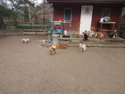 f:id:roukenhome-ann:20190129133410j:plain