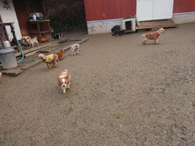 f:id:roukenhome-ann:20190129133636j:plain