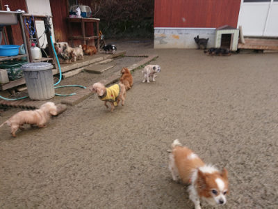 f:id:roukenhome-ann:20190129133643j:plain