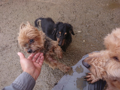 f:id:roukenhome-ann:20190129133748j:plain