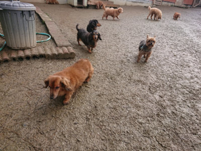 f:id:roukenhome-ann:20190129133808j:plain