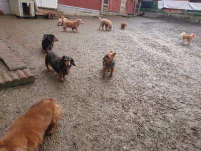 f:id:roukenhome-ann:20190129133846j:plain
