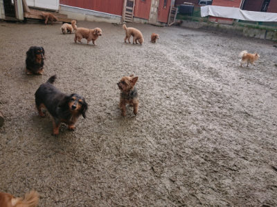 f:id:roukenhome-ann:20190129133853j:plain