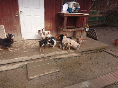 f:id:roukenhome-ann:20190129134021j:plain