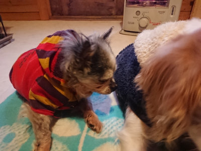 f:id:roukenhome-ann:20190129143239j:plain