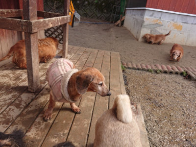 f:id:roukenhome-ann:20190129143251j:plain